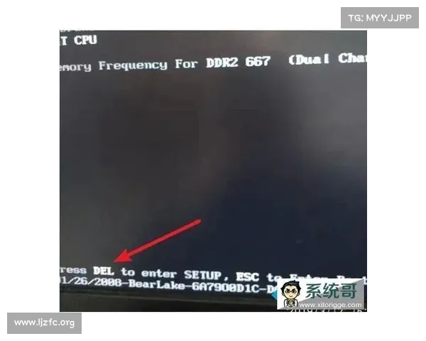 游戏中离线状态设置攻略